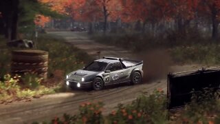 DiRT Rally 2 - Replay - Ford RS200 at Beaver Creek Trail Forward