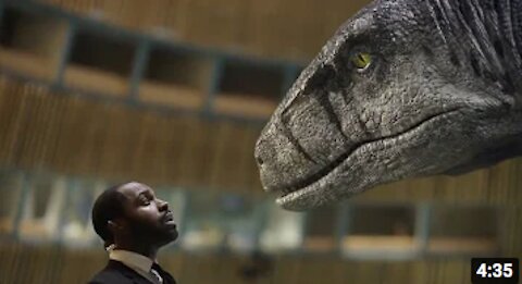 Why Is Nobody Talking About This - Jason A