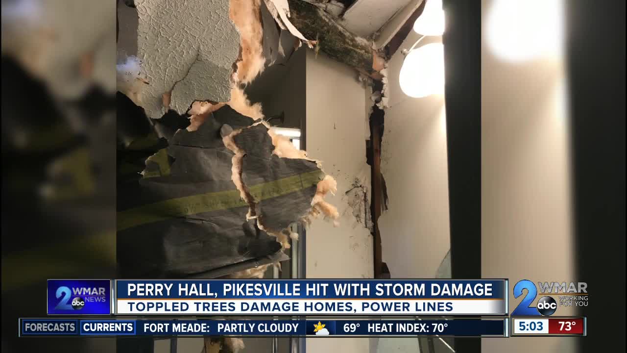Tree fell on home, took down power lines in Perry Hall