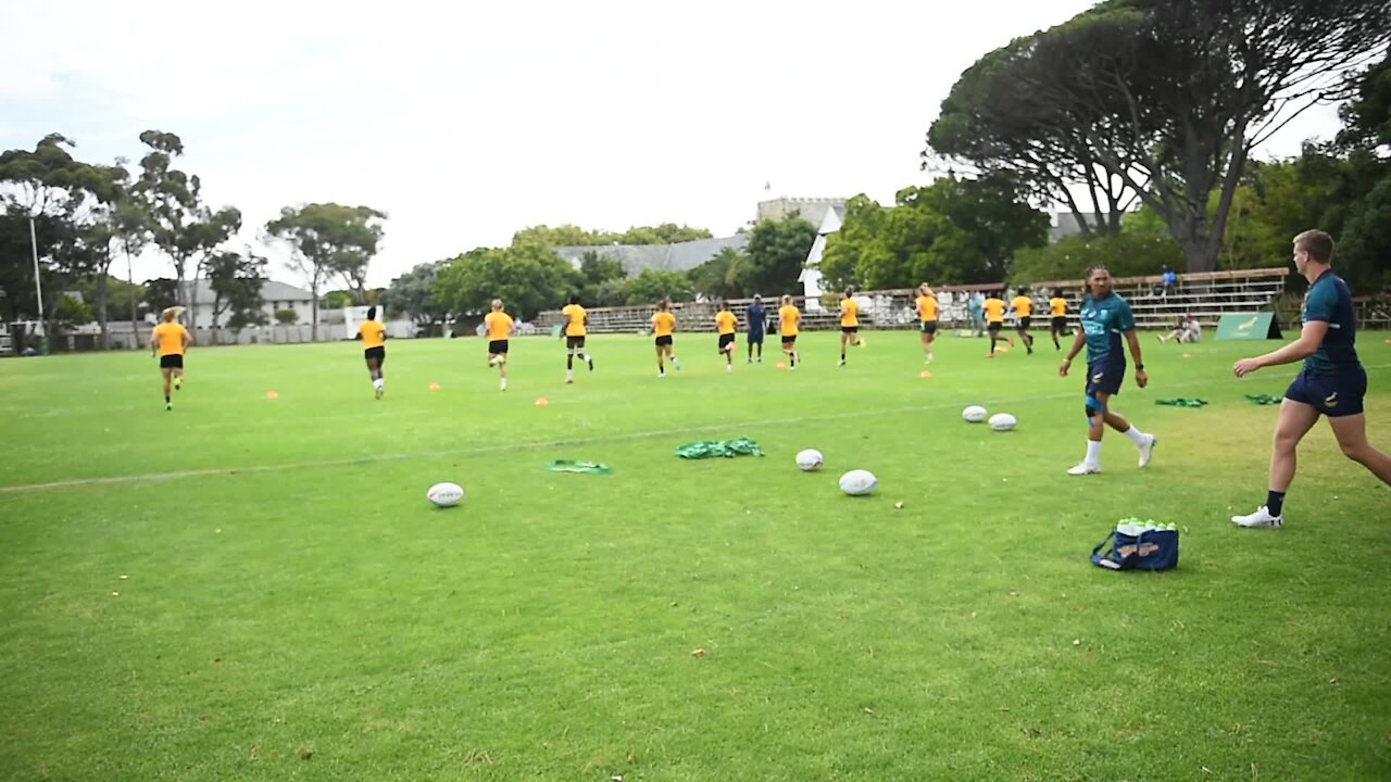 SOUTH AFRICA - Cape Town - Sevens Team media day (video) (Yky)