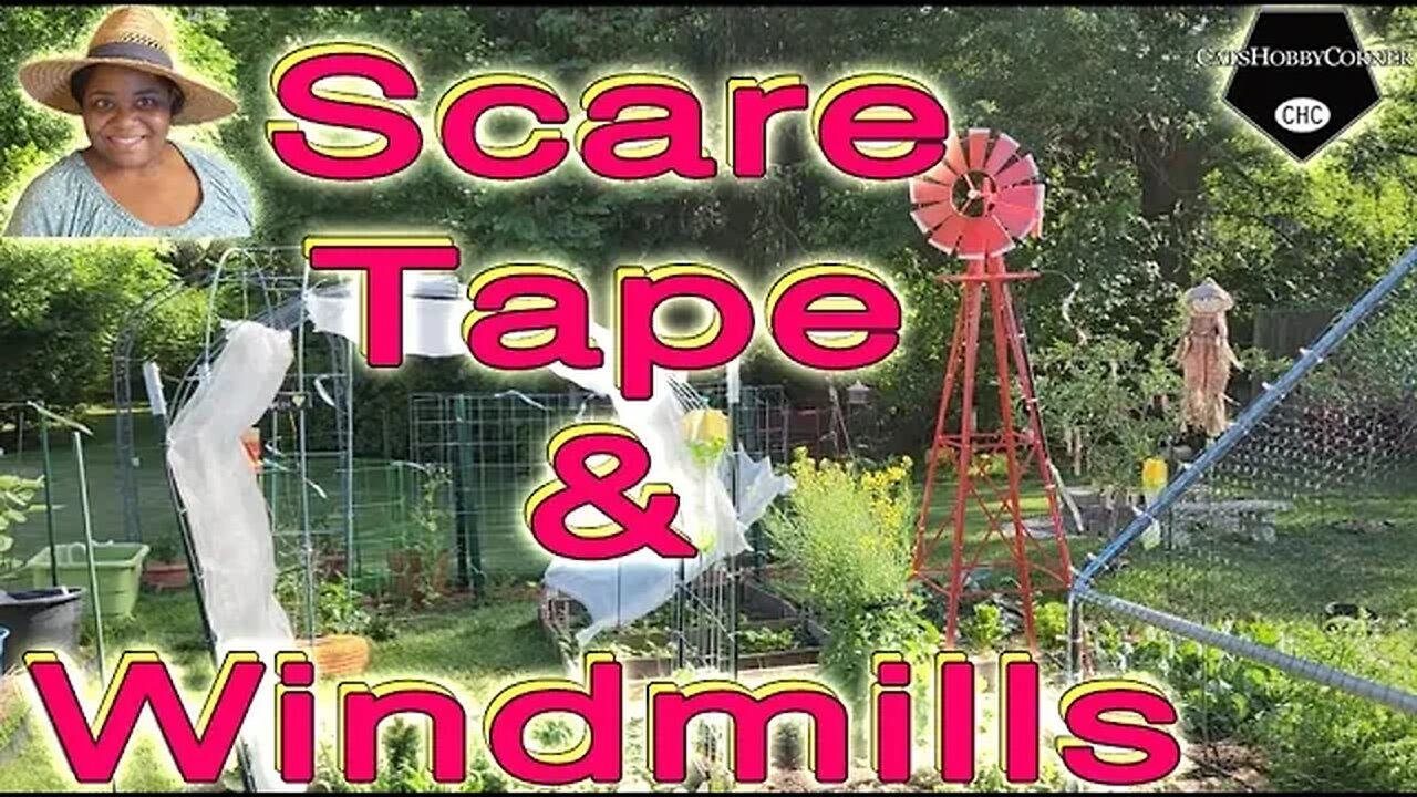 #scaretapeforbirds & #windmill #gardendecorideas - #catshobbycorner