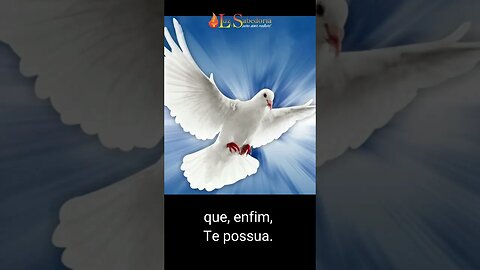 QUE O DEUS DE AMOR LHE CONCEDA...