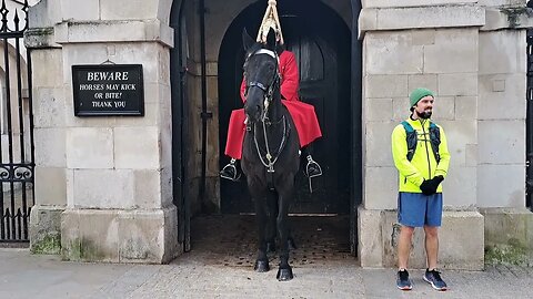 Horse wants you to get closer (ARNI THETOURISTHATER) #thekingsguard