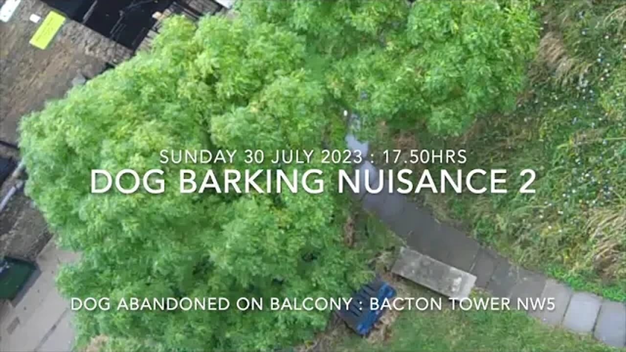 Noise Nuisance : Dog Barking : Bacton Tower NW5 : Sun 29 July 2023