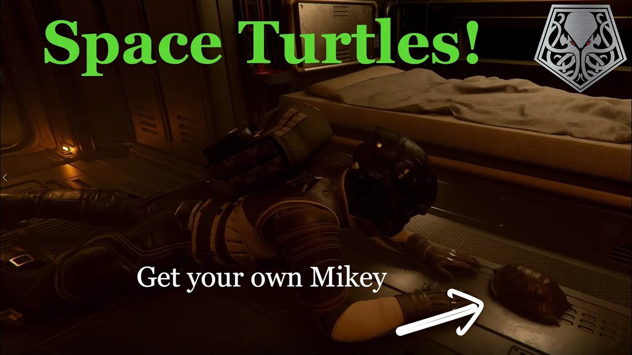 Space Turtles