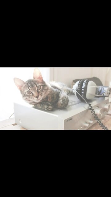 Fones de ouvido estéreo para jogos Bluetooth 5.0 com melhor classificação