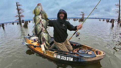 This Stump Field Was LOADED with GIANT SLABS!