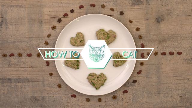 DIY Cat Treats: Oaty tuna hearts