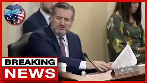 Ted Cruz DESTROYS Democrat Judicial Nominee With HER OWN Document, SAVAGE!!!
