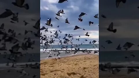 صبح کا آغاز تلاوتِ قُرآنِ کریم سے ❤️