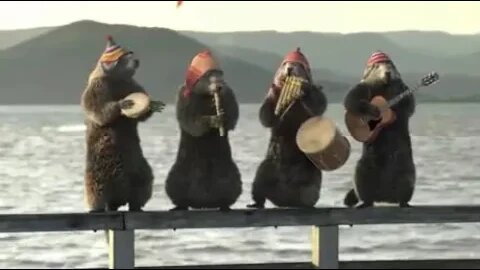 Animales raros tocando el rock