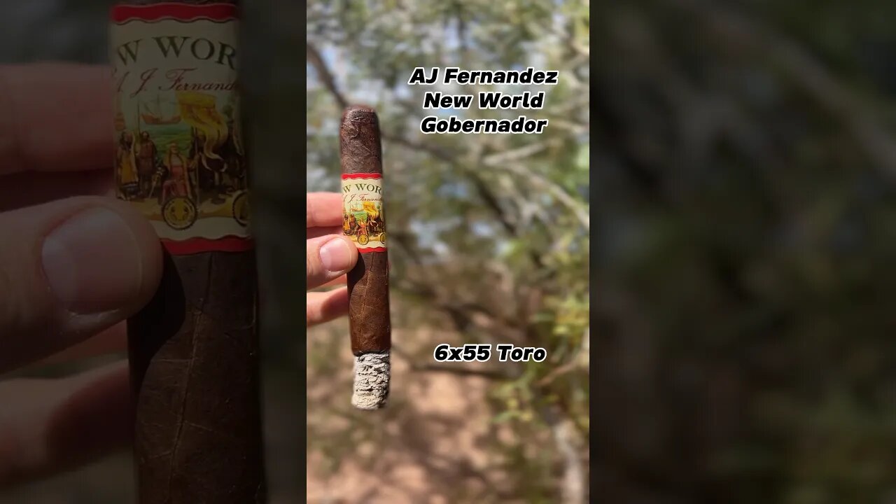 Quick Stick: AJ Fernandez New World #shorts #newworld #gold