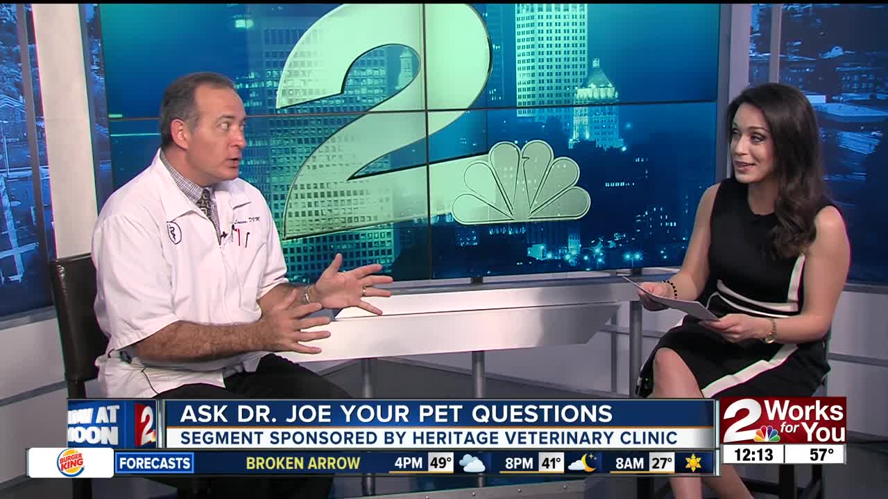 Ask Dr. Joe Your Pet Questions