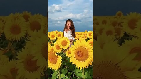 Tiktok Videos | Tavernoftinst | #fyp #short #tiktok #tiktokdance