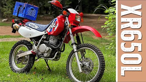 Honda's Famous Dual Sport | First Offroad Ride