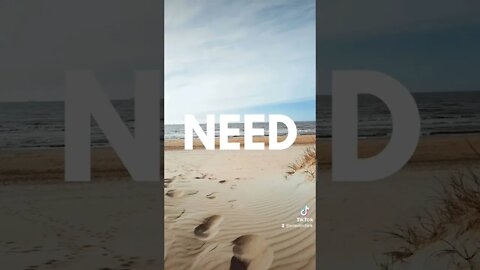 What do you need? The Sea? #sea #florida