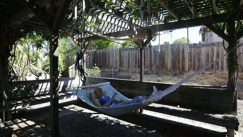 things to do when retired (scrub jay, hammock)