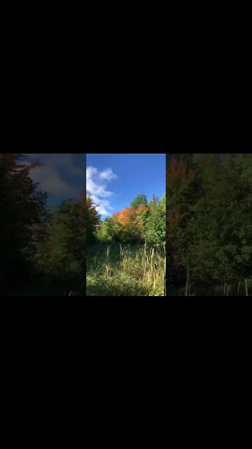 First Day of Autumn 2022