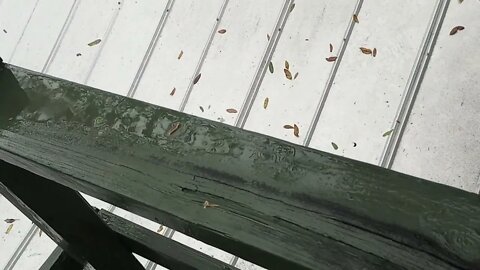 Ian bands on Wednesday from my St Augustine porch.