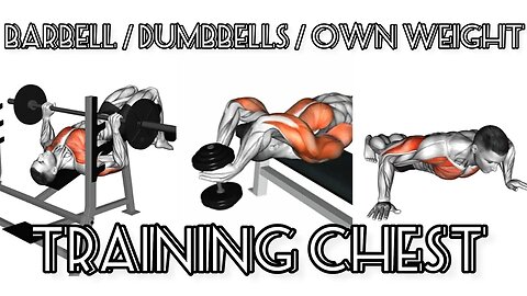 Chest training with barbell, dumbbells and own weight