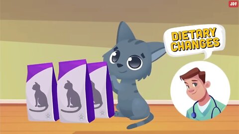 21 Ways You Are Hurting Your Cat Without Realizing
