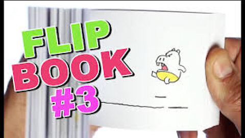 FlipBook Animation