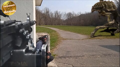 Ufo e erbe spontanee 4