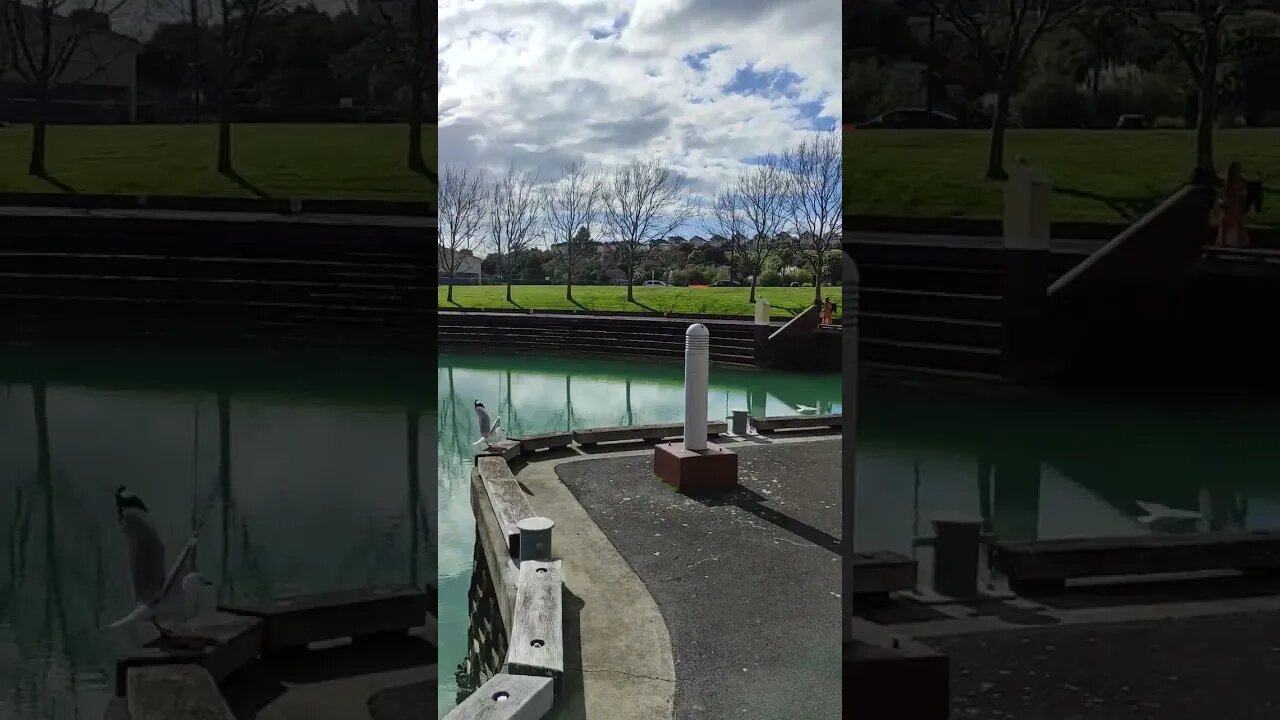 Gulf Harbour Whangaparaoa