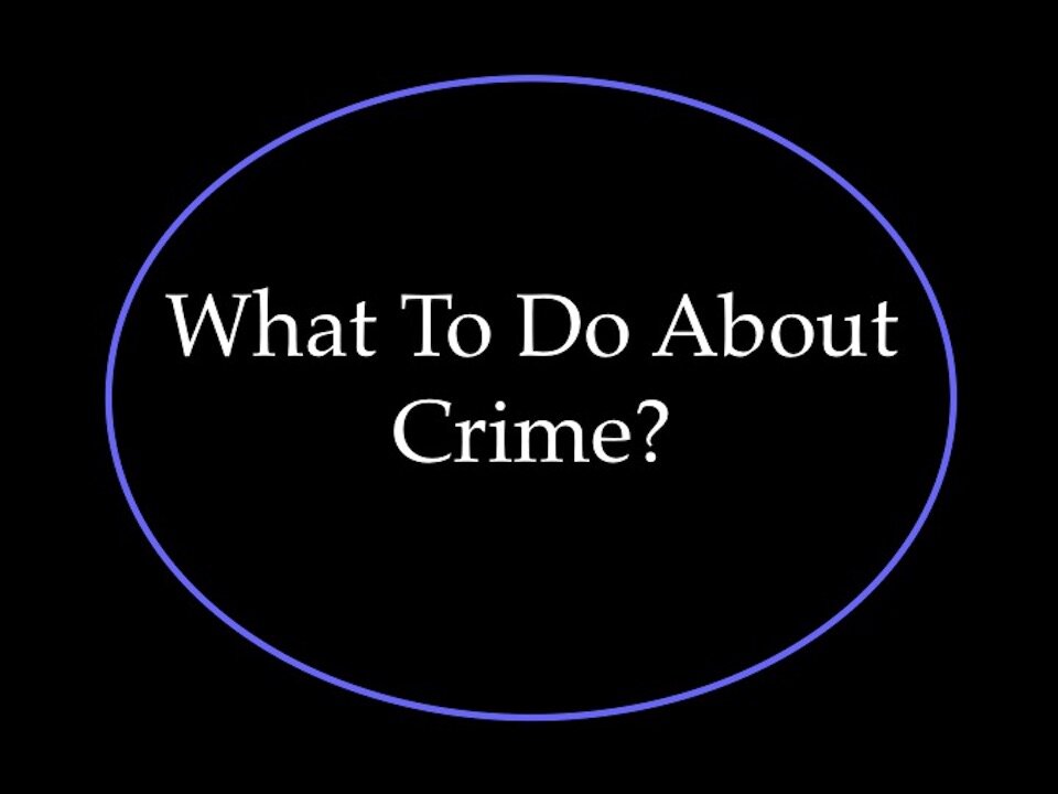 What To Do About Crime?