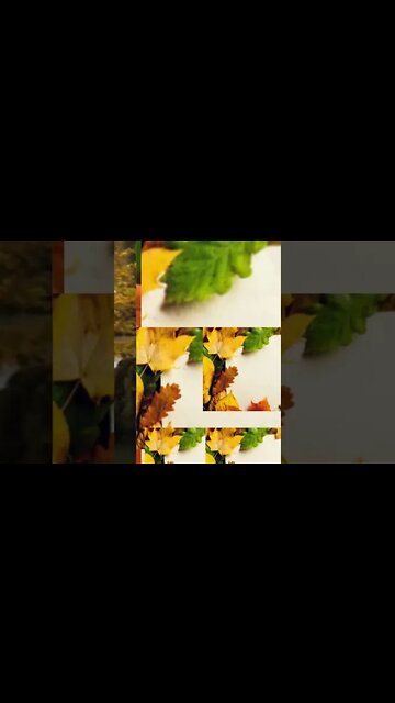 RELAXING MUSIC/DEEP SLEEP MUSIC/autumn ambience music #shorts