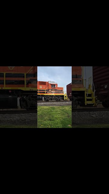 look at the shine on that!!!