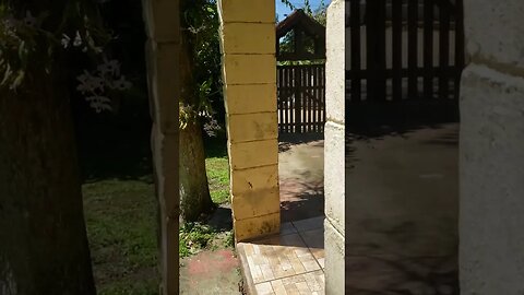 A CHÁCARA EBENÉZER em um dia de Sol