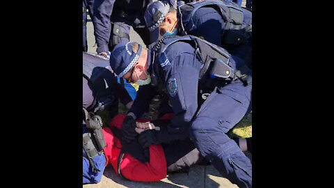 More footage from the "BELLOW DOWN UNDER"