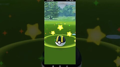 Pokémon GO-Zygarde(Dog)