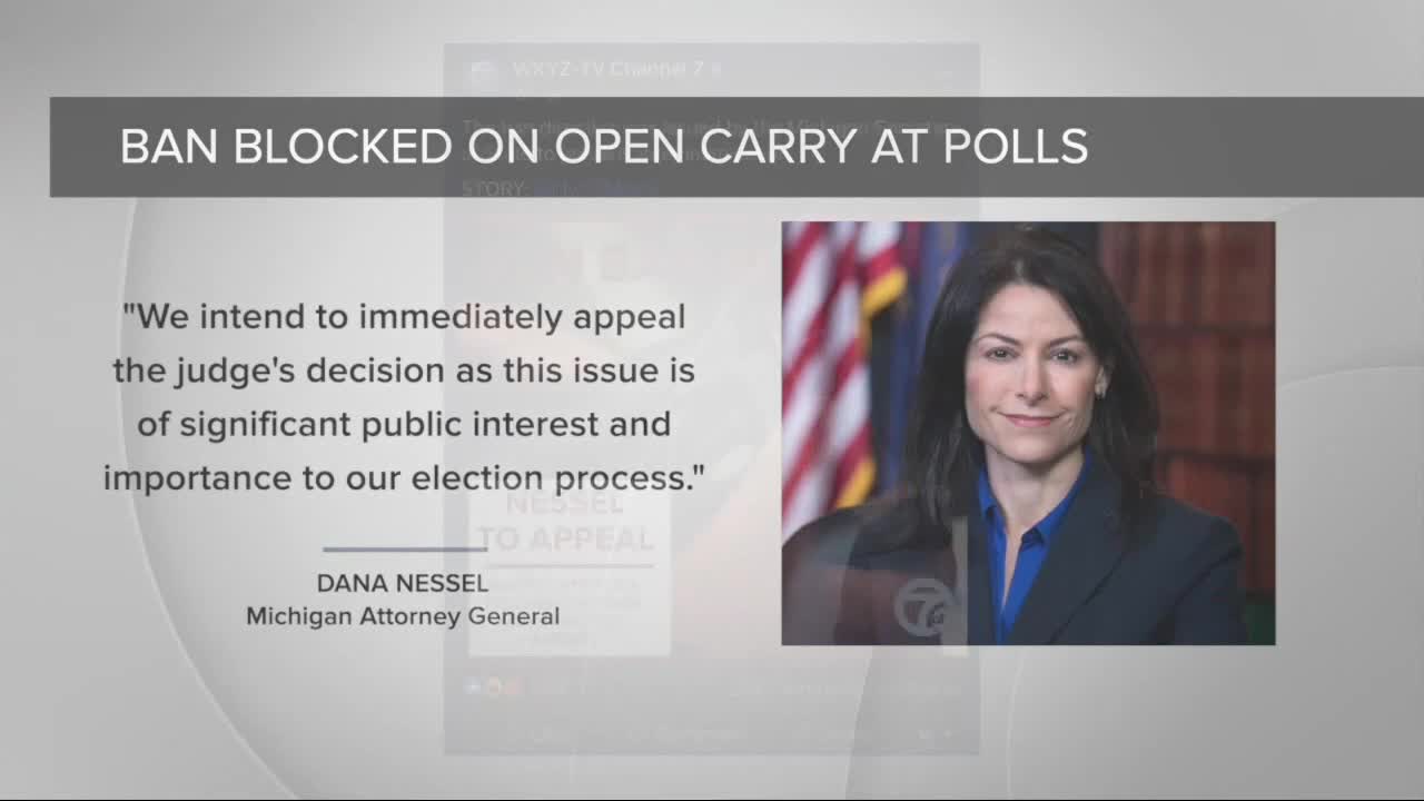 Court blocks open carry gun ban at polls