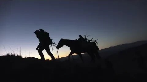 Iconic Footage-- "Heading back to camp"! Best video from elk season 2022!