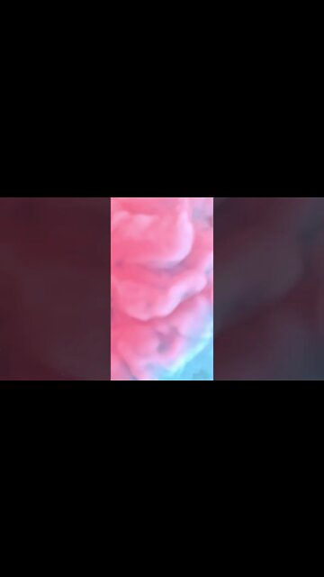 #trailer #filmoracertifiedcreative