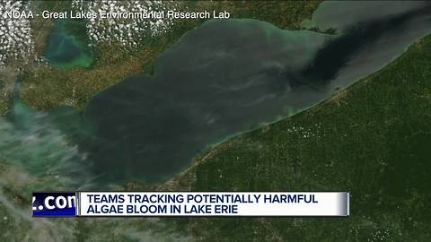 Potentially harmful algae bloom in Lake Erie