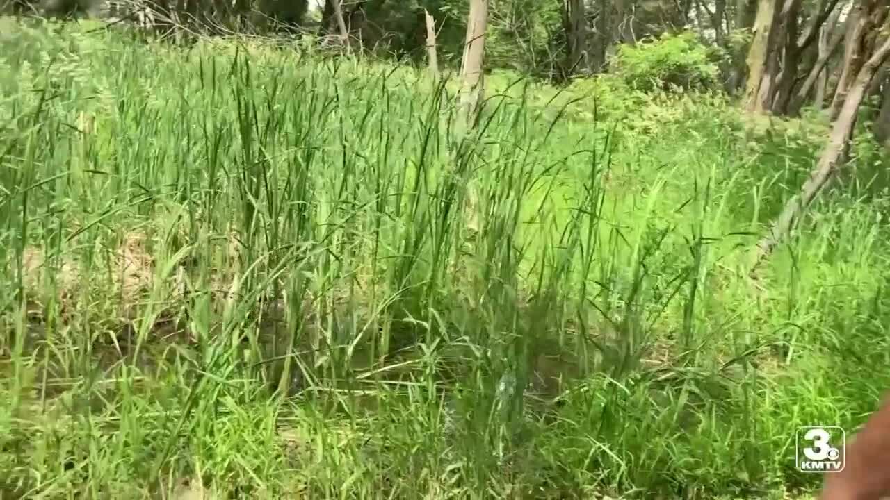 Mosquito trapping has begun in Douglas County