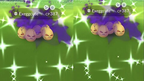 Mhy Reaction to Shiny Shadow Exeggcute