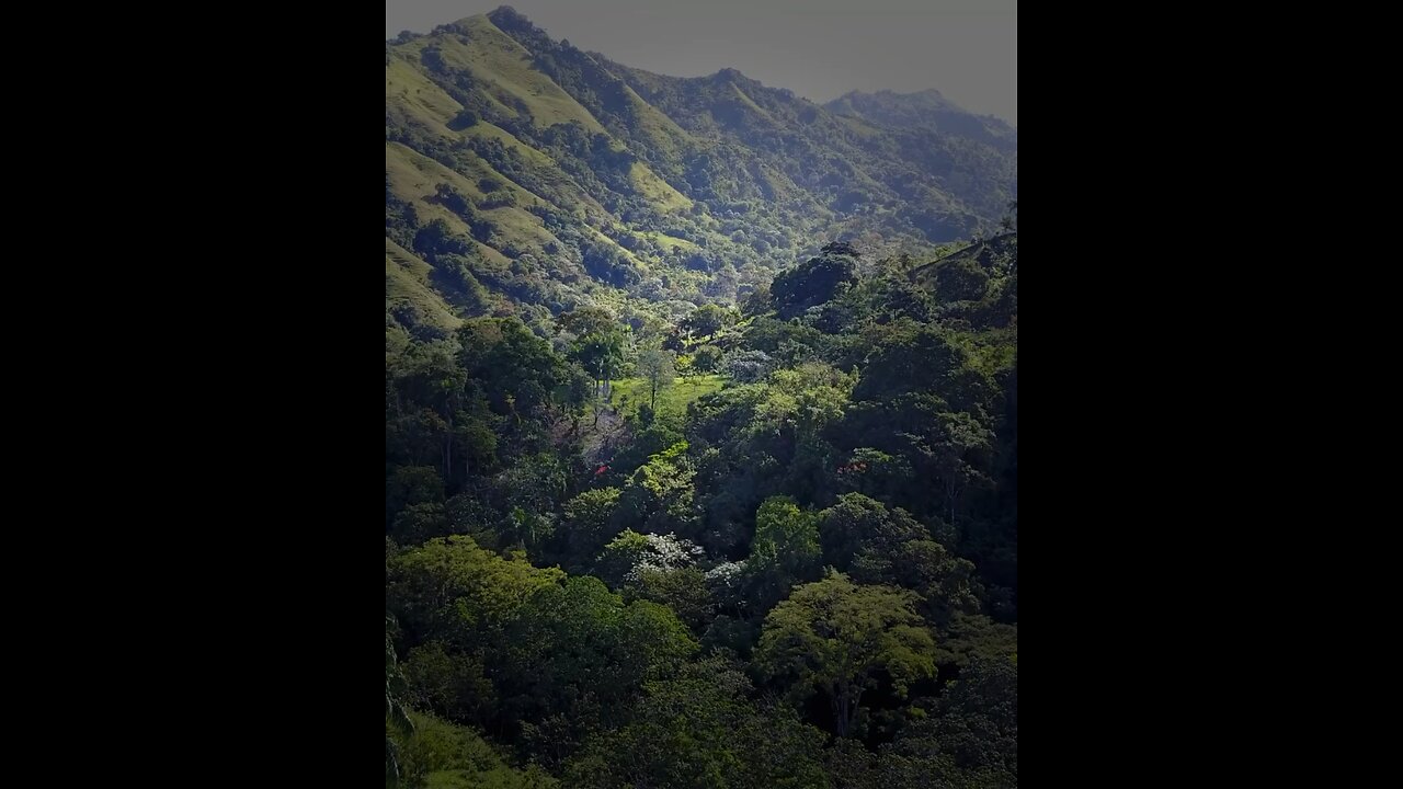 Sirach (Ecclesiasticus) 46:22-26 All Honor, Glory and Praise to the Most High!