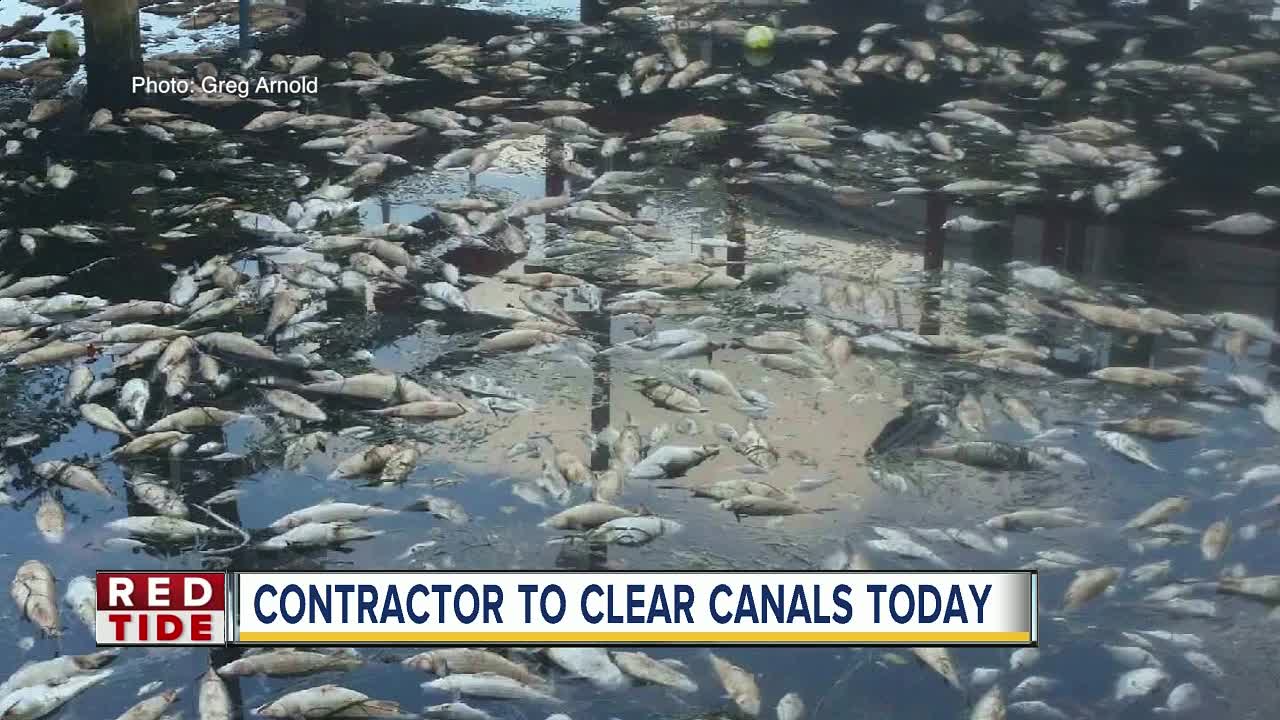 Vendor hired in Manatee Co. to remove dead fish