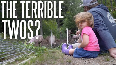 2 Year Old Helps Dad With The Farm Chores