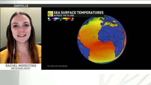 2021 Tropical storm season outlook as La Niña declared over