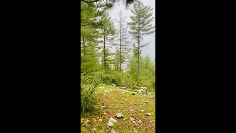 Murree Pakistan