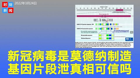 新冠病毒是美国莫德纳公司制造，专利基因片段泄露真相 ？《每日邮报》研究报告掀热议，事实如何？人造病毒实锤？《时刻新闻》2022年3月24日