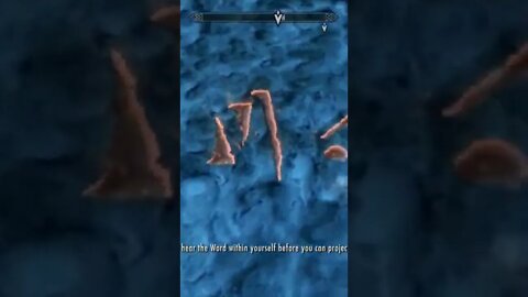 Feel the Force #skyrim