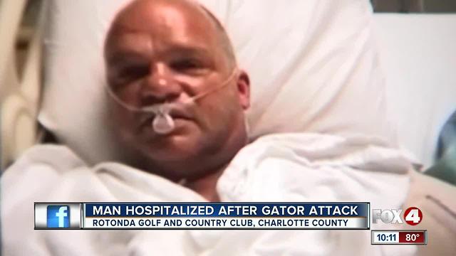 Man Hospitalized after Gator Attack