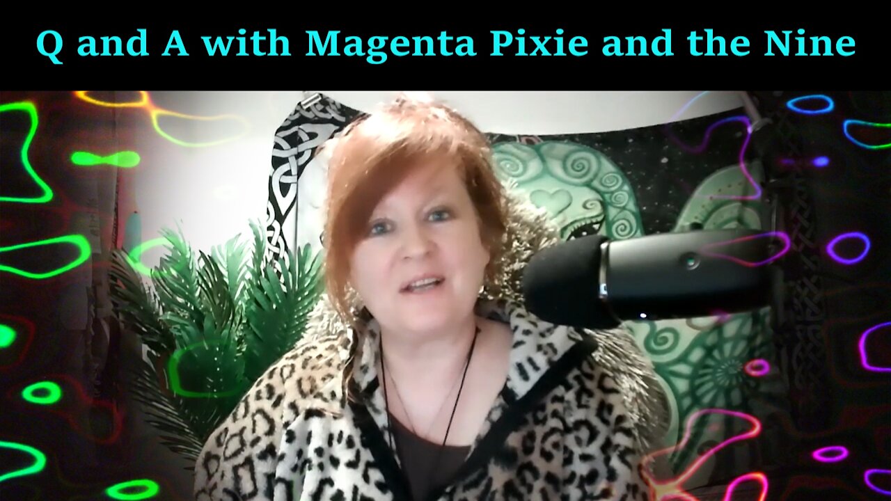 Q and A with Magenta Pixie and the Nine