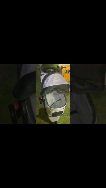 Finding a $120 Pet Stroller Dumpster Diving at Petco!!!